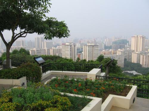 Wink Capsule Hostel @ Downtown (sg Clean)