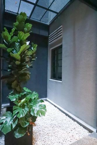 Hotel Nuve Elements (sg Clean, Staycation Approved)