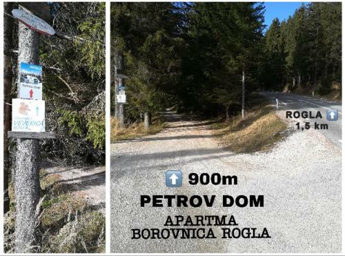 Apartma Borovnica Rogla