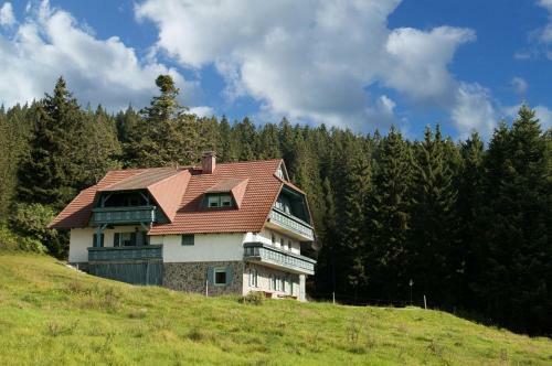 Apartma Borovnica Rogla