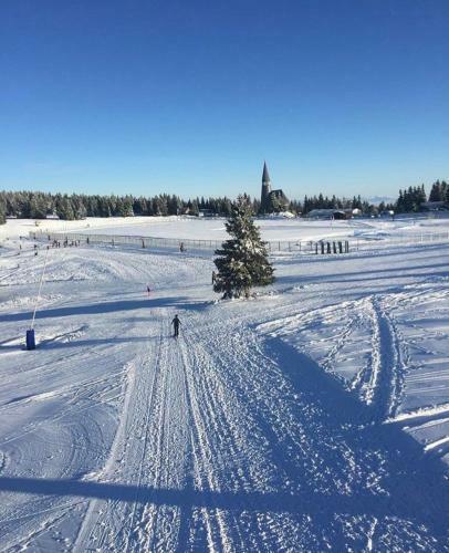 Apartma Borovnica Rogla