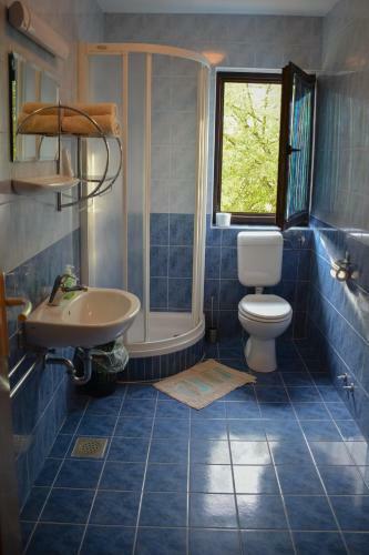 Hostal Farm Stay Zevnik