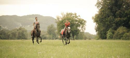 Hostal Farm Stay Zevnik