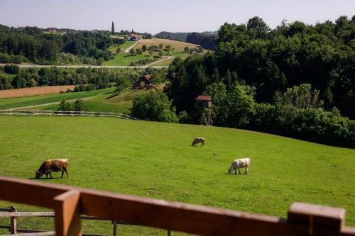 Bed & Breakfast Tourist Farm Firbas
