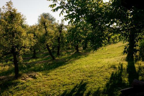 Bed & Breakfast Tourist Farm Firbas