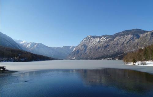 Two-bedroom Apartment In Bohinjska Bistrica