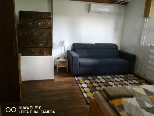Bed & Breakfast Vila Eva Lesce - Bled