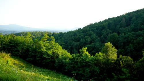 Hillhouse Novo Mesto