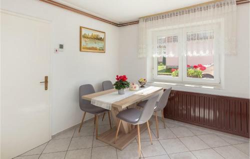 Amazing Home In Nova Vas W/ Sauna, Wifi And 2 Bedrooms