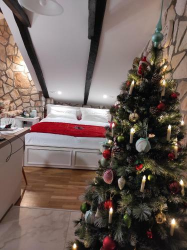 Jmj Apartmaji Piran