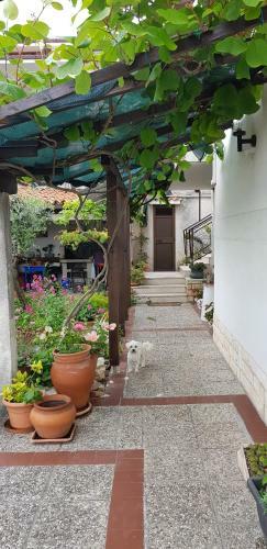 Apartments Tramontana Nr