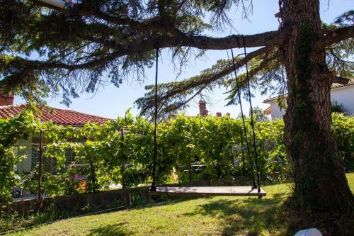 Hostel Trobenta In Oblak