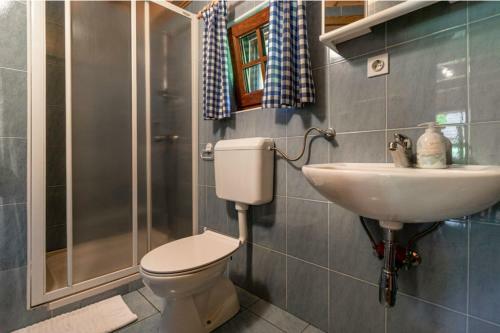 Lepena Alpine Cottage Holiday Home