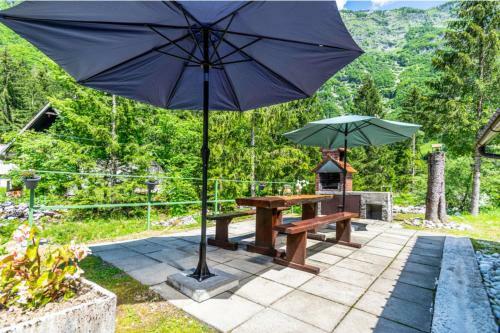Lepena Alpine Cottage Holiday Home