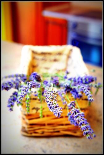 Lavender Scent Family Apartments Portoro? Dd1