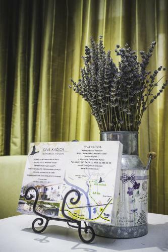 Hostal Div� Ka?ica Restaurant & Pansion
