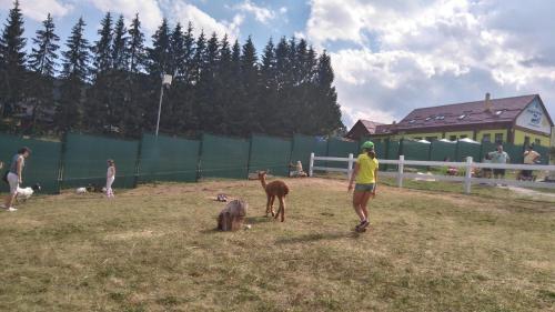 Donovaly Ad Kamz�k - Apartm�n 47
