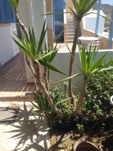 Apartamento Ostria
