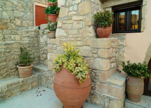 Mouri Villa