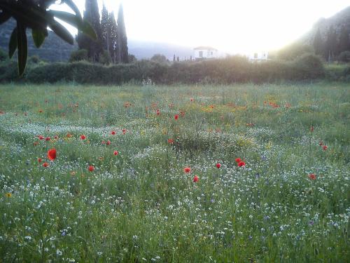 Apartamento Countryside Studios