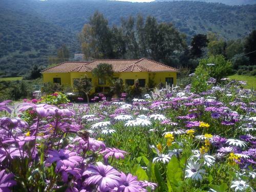 Apartamento Countryside Studios