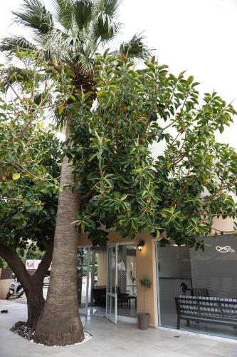 Apartamento Adele Studios