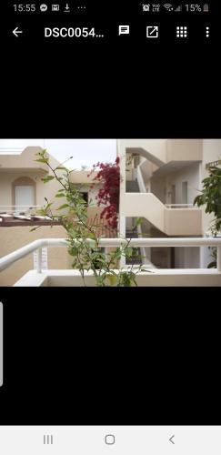 Apartamento Adele Studios