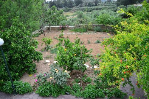 Allaria Villa