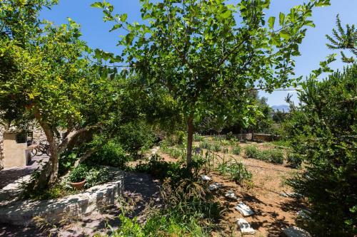 Allaria Villa
