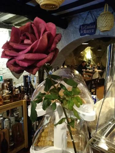 Bed & Breakfast Locanda Cantina Di Bacco