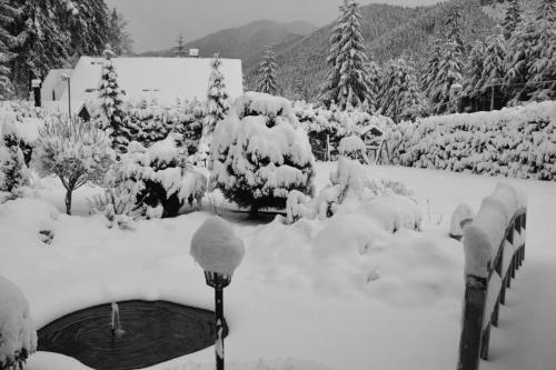 Chalets Adriana