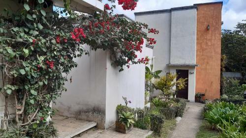 Hotel Casa 1800 Ataco Boutique