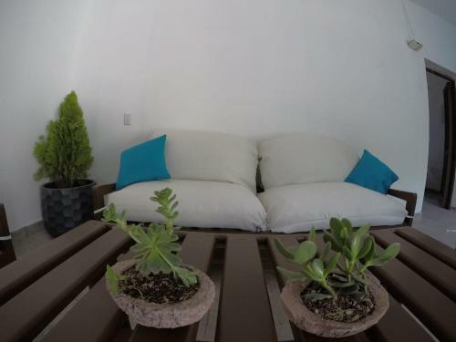 Hotel Jardin De Las Marias