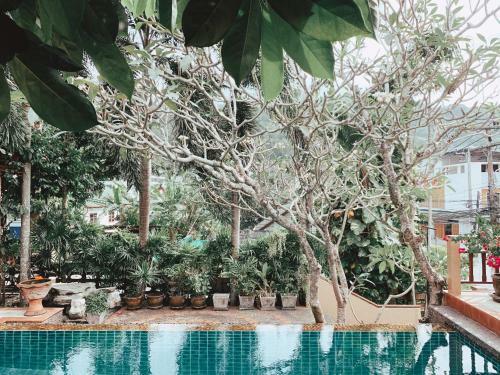 No.7 Kata Pool Villa