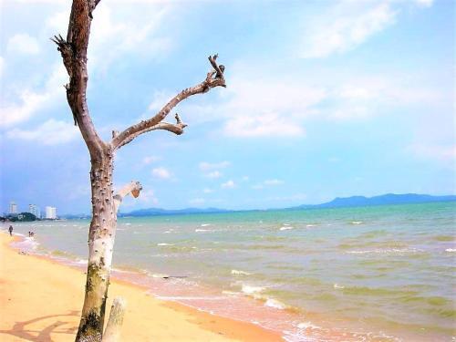 Apartamento Metro Jomtien Condotel