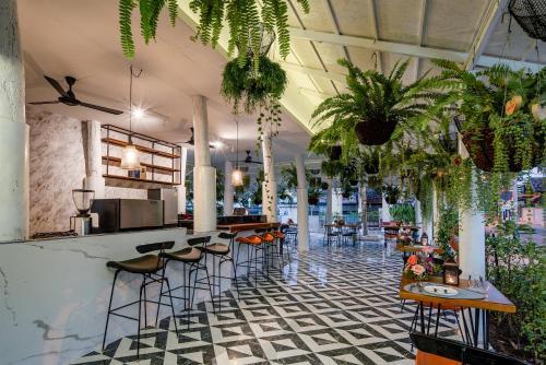 ???????h�flora Hotel