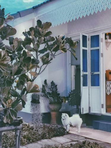 Hotel Pakdara Villa
