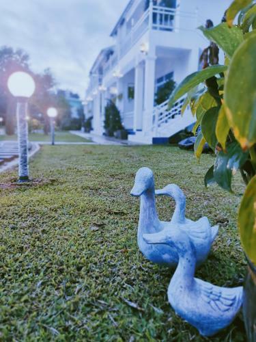 Hotel Pakdara Villa