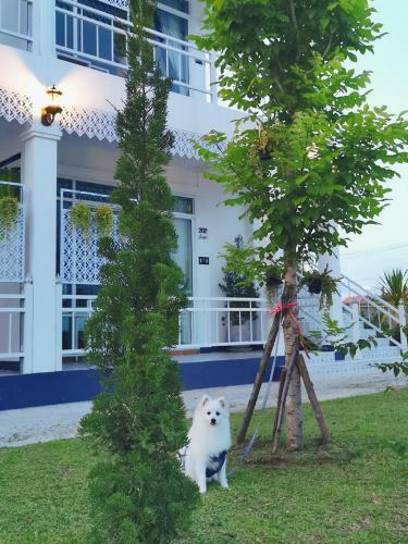 Hotel Pakdara Villa