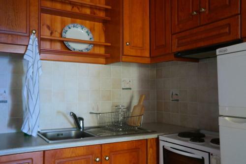 Apartamento Nirydes Studios