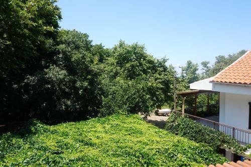 Hostal Galini