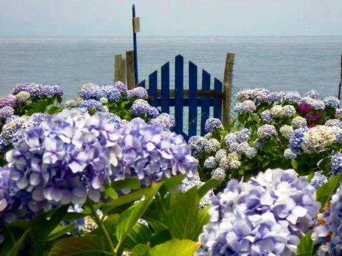 Archondissa Boutique Beach Aparthotel