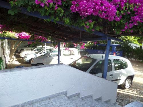 Apartamento Skyros Junior Studios