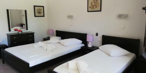 Hostal Studios Avra