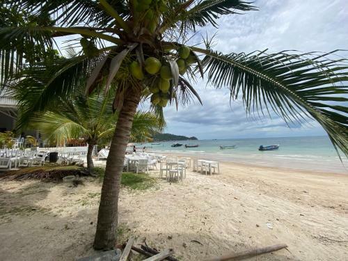 Hotel Island Dive Club