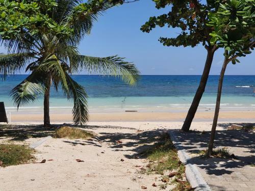 Hotel Island Dive Club