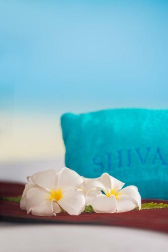Beachfront Villa Baan Chaai Haat 4br