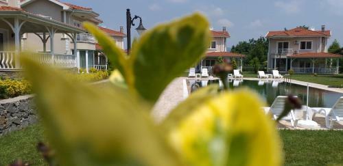 Villa Palace Kirkpinar