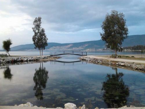 Villa Aegean Cost Luxury 4-bed Duplex