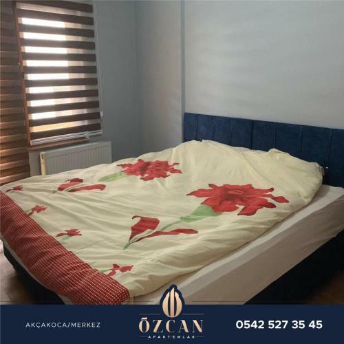 �zcan Apart